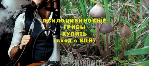 СК Арсеньев