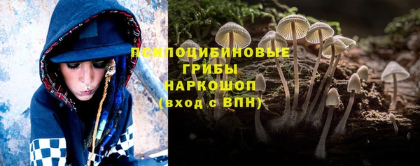 ECSTASY Армянск