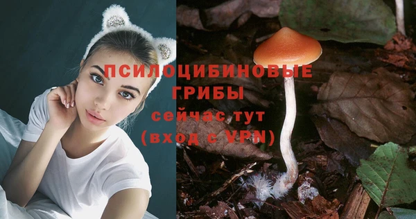 ECSTASY Армянск