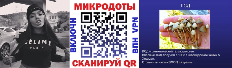 Псилоцибиновые грибы MAGIC MUSHROOMS Покачи